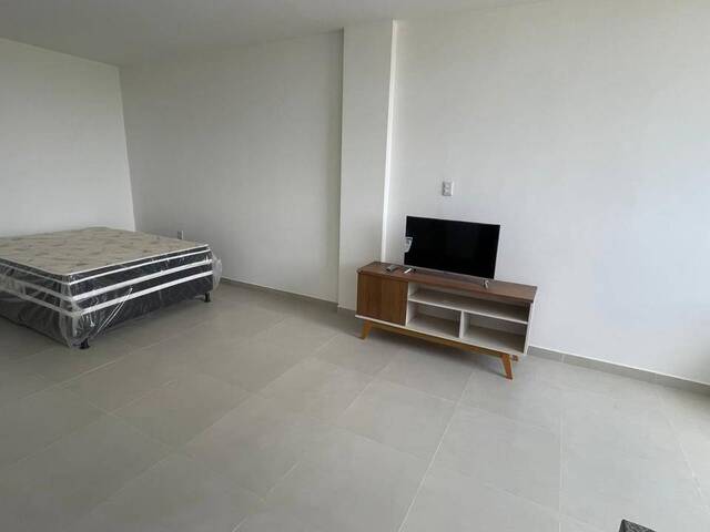 #1559 - Apartamento para Locação em Paulo Afonso - BA - 1