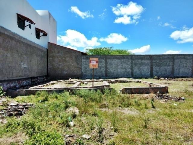 #569 - Terreno para Venda em Paulo Afonso - BA - 1