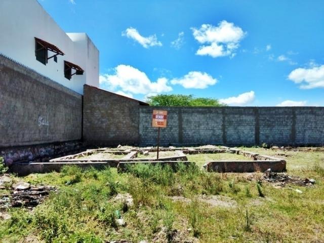 #569 - Terreno para Venda em Paulo Afonso - BA - 2