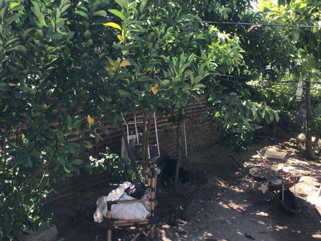 #901 - Terreno para Venda em Paulo Afonso - BA - 3