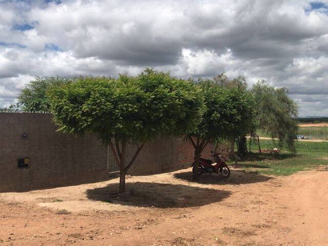 #911 - Terreno para Venda em Paulo Afonso - BA