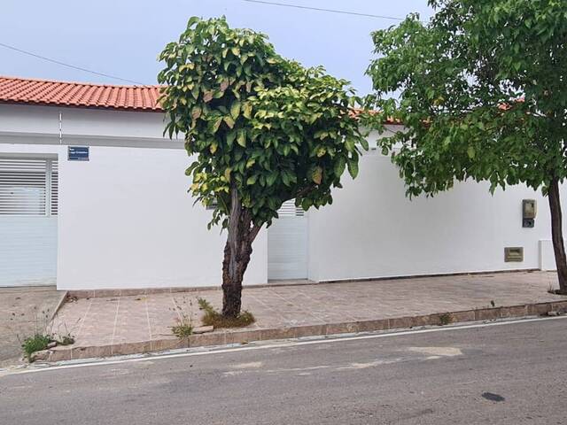 #914 - Casa para Venda em Paulo Afonso - BA - 1