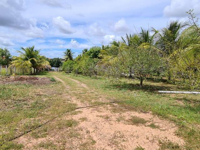 #990 - Casa para Venda em Paulo Afonso - BA - 1
