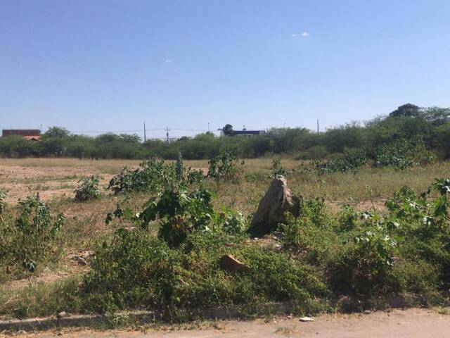 #1016 - Terreno para Venda em Paulo Afonso - BA - 2