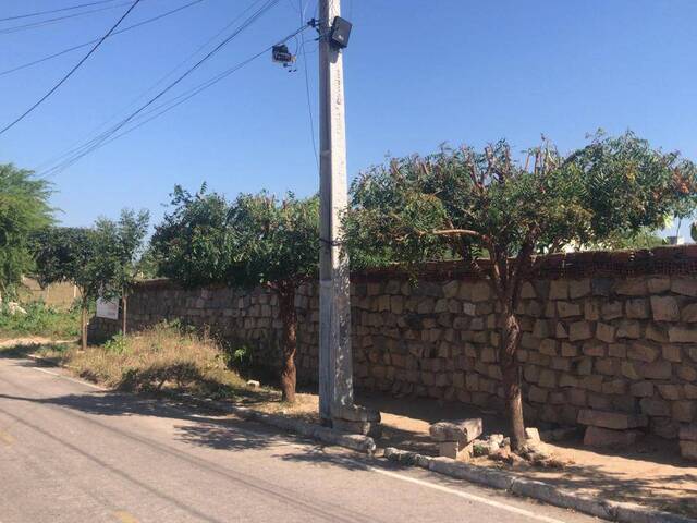 #1016 - Terreno para Venda em Paulo Afonso - BA - 1