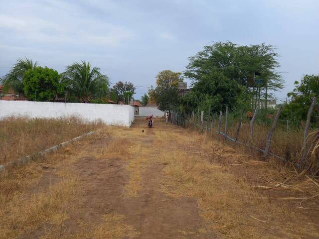 #833 - Terreno para Venda em Paulo Afonso - BA - 2