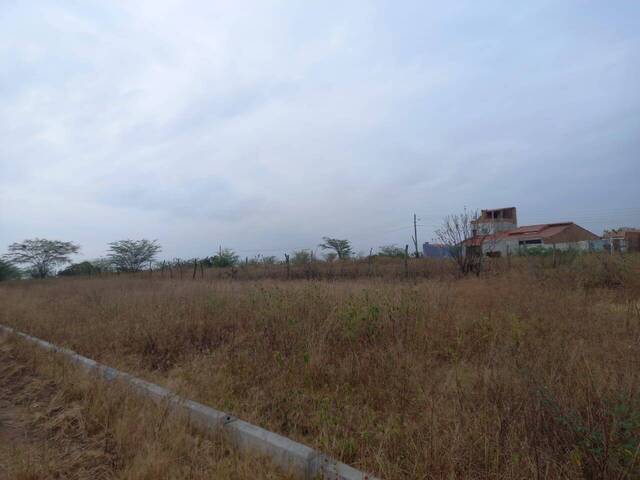 #833 - Terreno para Venda em Paulo Afonso - BA - 3