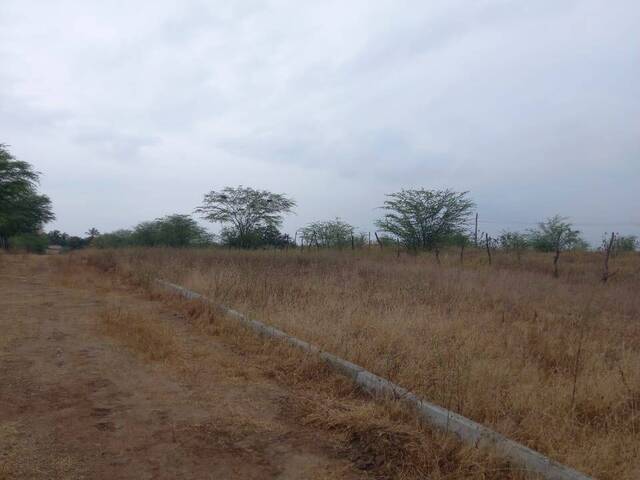 #833 - Terreno para Venda em Paulo Afonso - BA - 1