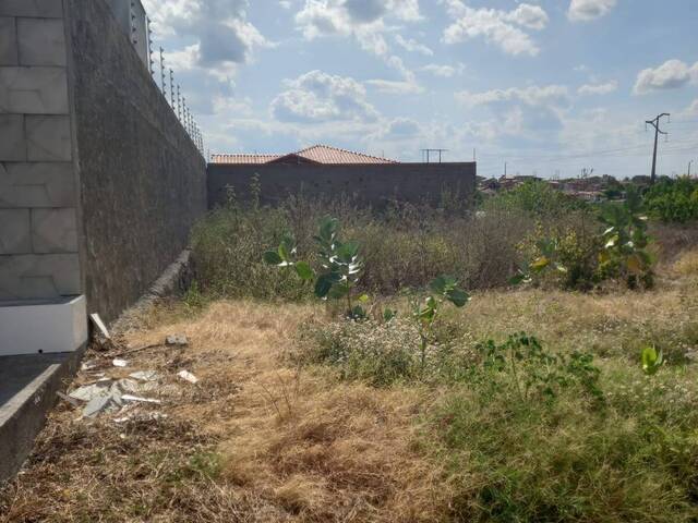 #1080 - Terreno para Venda em Paulo Afonso - BA - 1