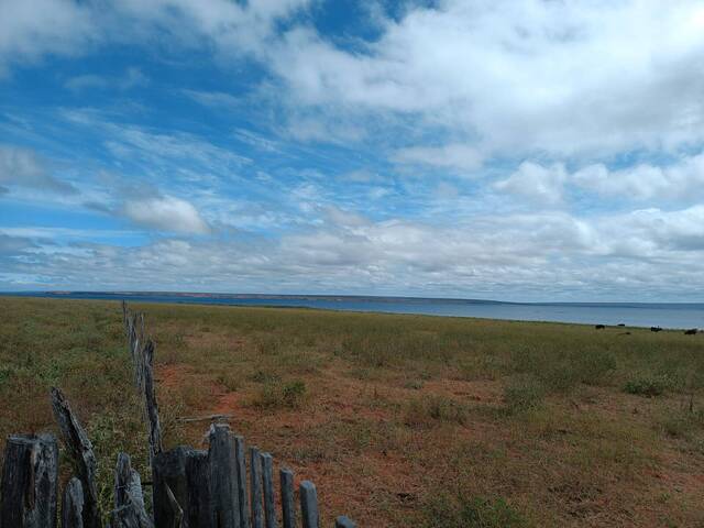 #1087 - Terreno para Venda em Paulo Afonso - BA - 3