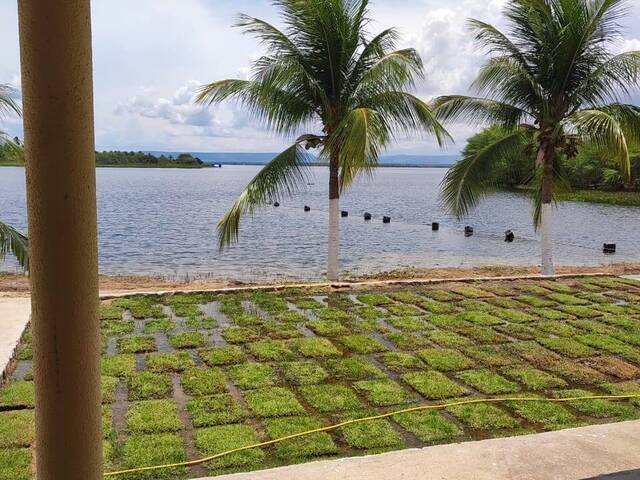 #1121 - Terreno para Venda em Paulo Afonso - BA - 2