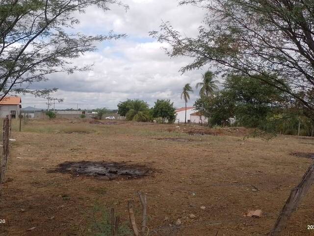 Fazenda para Venda - RA IV Brazlândia / DF no bairro Centro, 4 dormitórios,  sendo 2 suítes, 4 banheiros, área total 450.000,00 m², área construída  450.000,00 m², área útil 450.000,00 m², terreno 450.000,00 m²