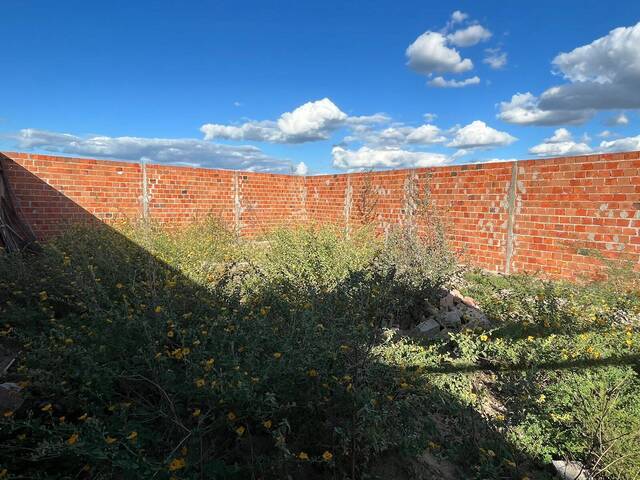 #1130 - Terreno para Venda em Paulo Afonso - BA - 1