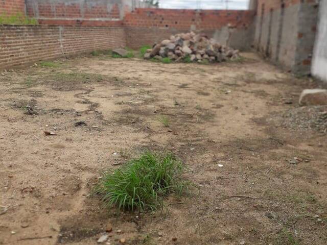 #1165 - Terreno para Venda em Paulo Afonso - BA - 3