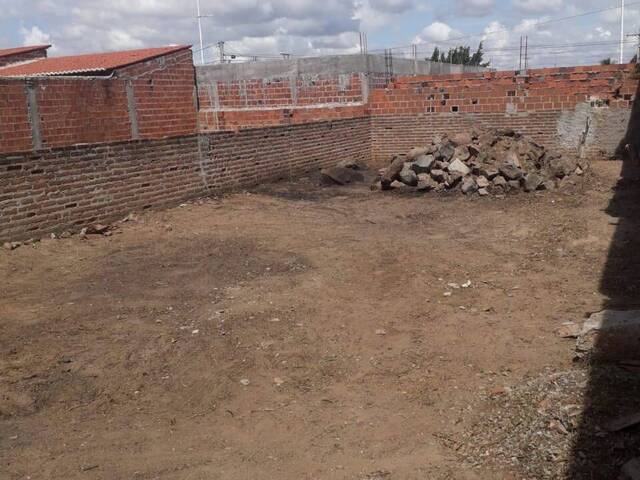 #1165 - Terreno para Venda em Paulo Afonso - BA - 1