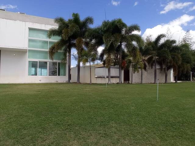 #1201 - Fazenda para Venda em Paulo Afonso - BA - 2