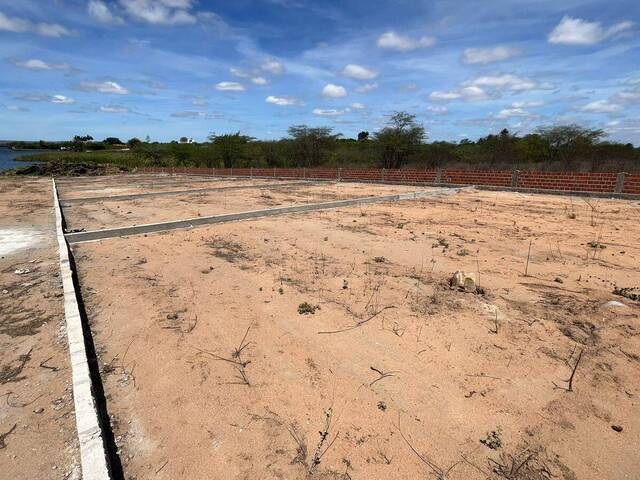 #1233 - Terreno para Venda em Paulo Afonso - BA - 3