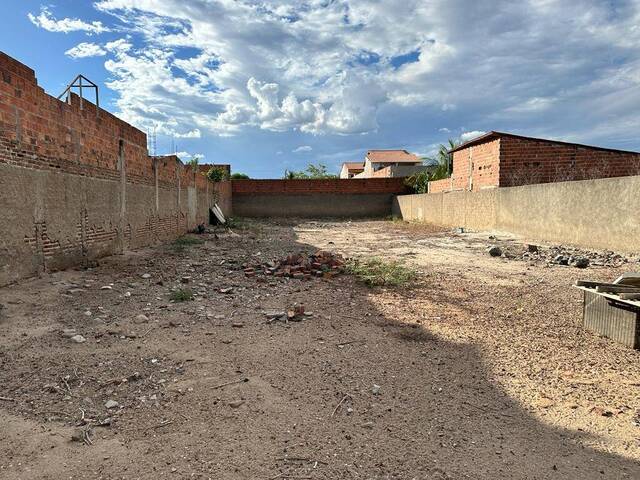 #1250 - Terreno para Venda em Paulo Afonso - BA - 2