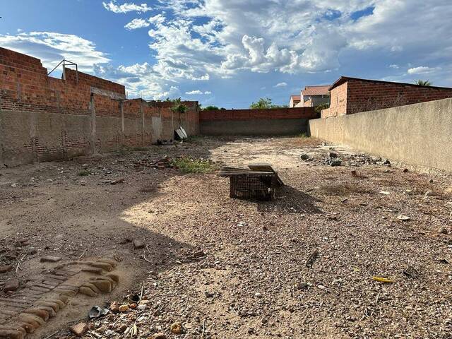 #1250 - Terreno para Venda em Paulo Afonso - BA - 3