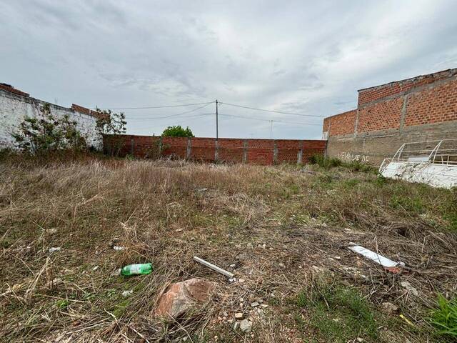 #1270 - Terreno para Venda em Paulo Afonso - BA - 2