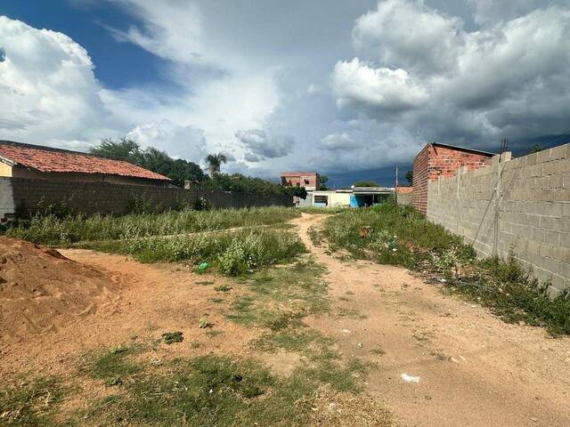 #1315 - Terreno para Venda em Paulo Afonso - BA - 3