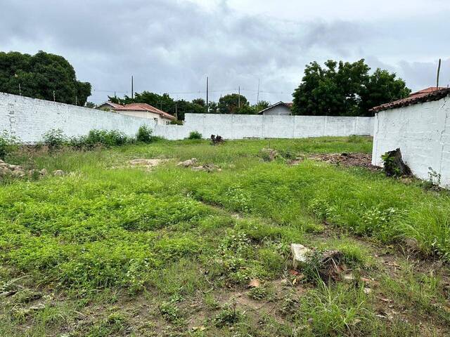 #24 - Terreno para Venda em Paulo Afonso - BA - 2