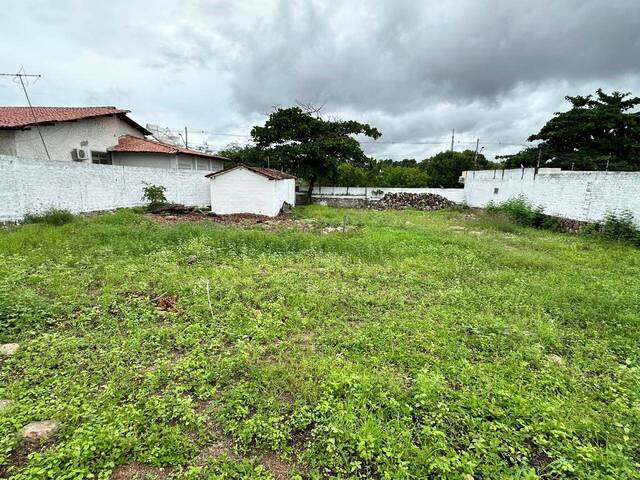 #24 - Terreno para Venda em Paulo Afonso - BA - 3