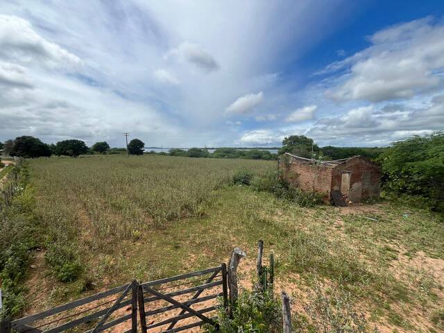 #1299 - Terreno para Venda em Paulo Afonso - BA - 3