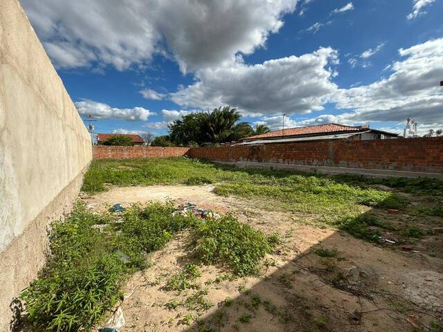 #1332 - Terreno para Venda em Paulo Afonso - BA - 3