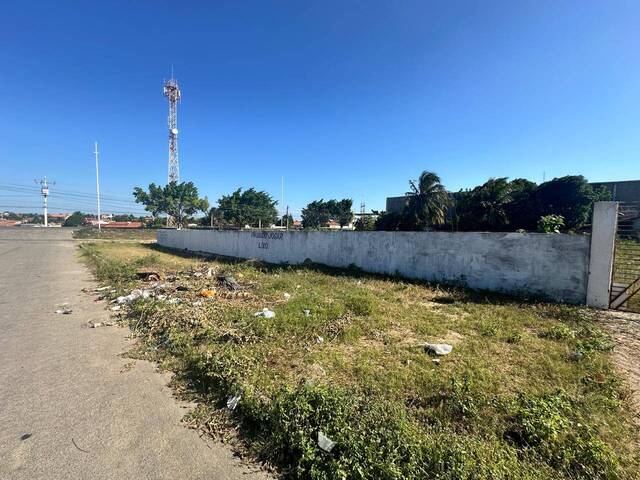 #1374 - Terreno para Venda em Paulo Afonso - BA - 3