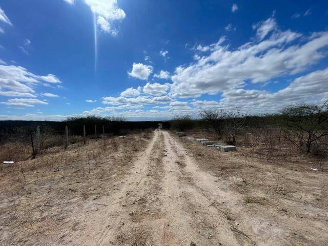 #1406 - Terreno para Venda em Paulo Afonso - BA - 3
