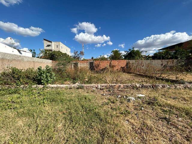 #1411 - Terreno para Venda em Paulo Afonso - BA - 1
