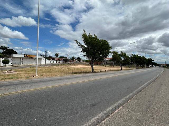 #1465 - Terreno para Venda em Paulo Afonso - BA - 1