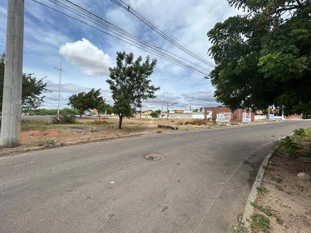 #1465 - Terreno para Venda em Paulo Afonso - BA - 2
