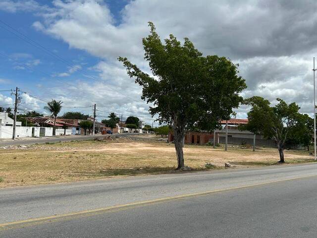 #1465 - Terreno para Venda em Paulo Afonso - BA - 3
