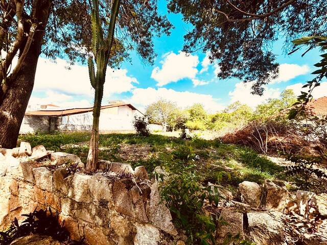 #1483 - Terreno para Venda em Paulo Afonso - BA - 2