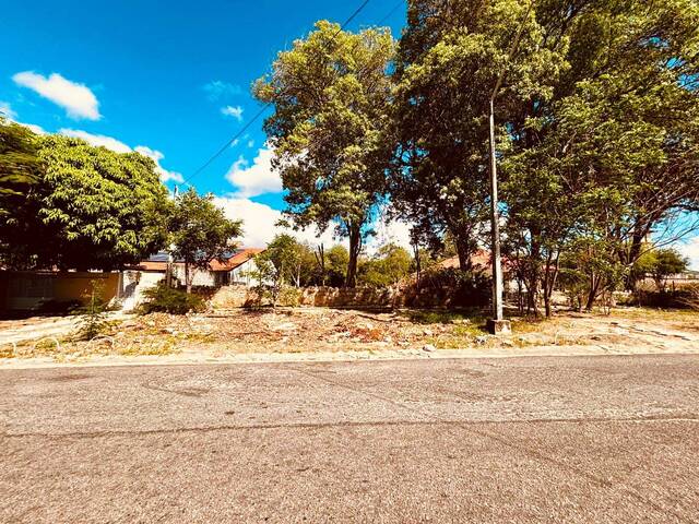 #1483 - Terreno para Venda em Paulo Afonso - BA - 1