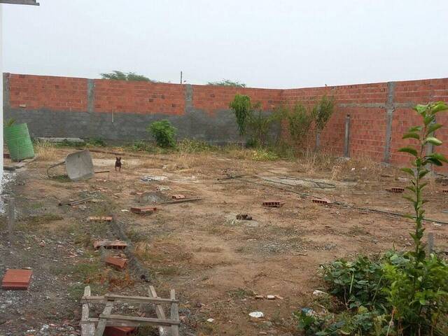 #1548 - Área para Venda em Paulo Afonso - BA - 2