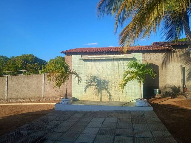 #1564 - Terreno para Venda em Glória - BA - 3