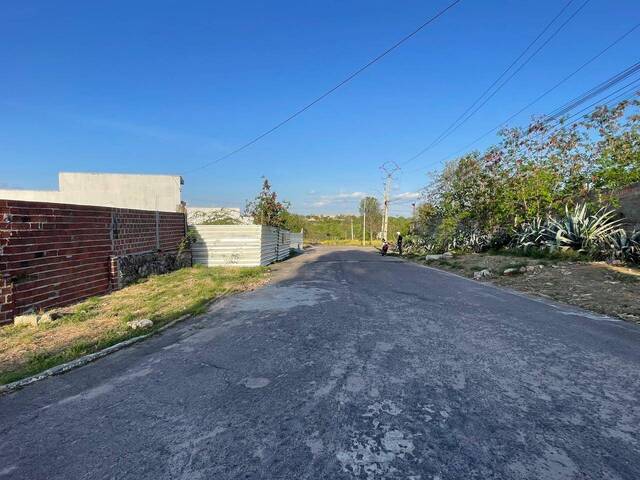 #1567 - Terreno para Venda em Paulo Afonso - BA - 2