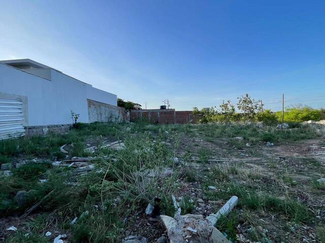 #1568 - Terreno para Venda em Paulo Afonso - BA - 2