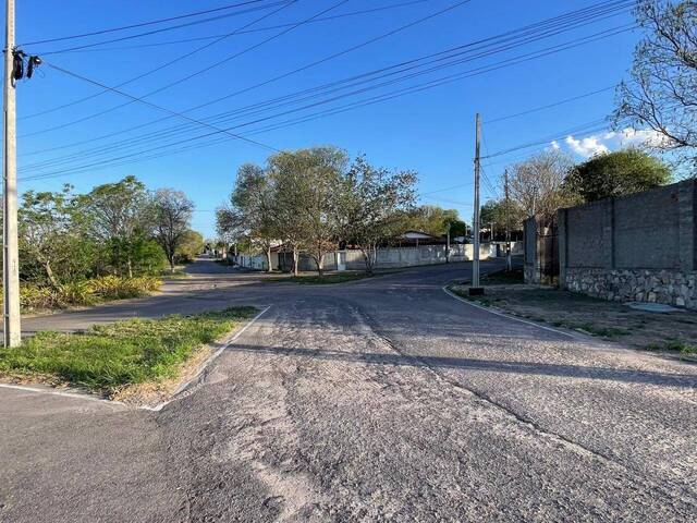#1568 - Terreno para Venda em Paulo Afonso - BA - 3