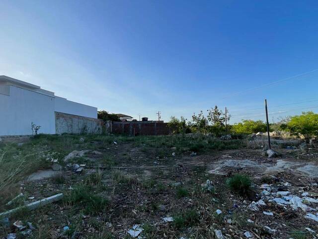 #1569 - Terreno para Venda em Paulo Afonso - BA - 2